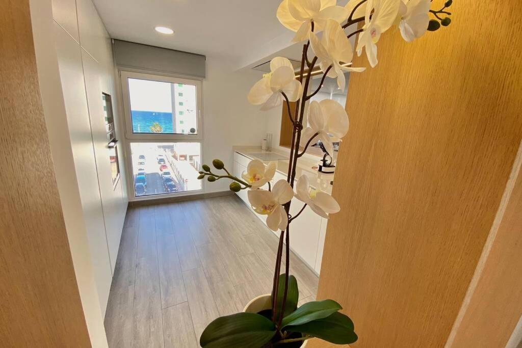 Central Modern Apartment 3 Bed 2 Bath El Campello Exteriör bild